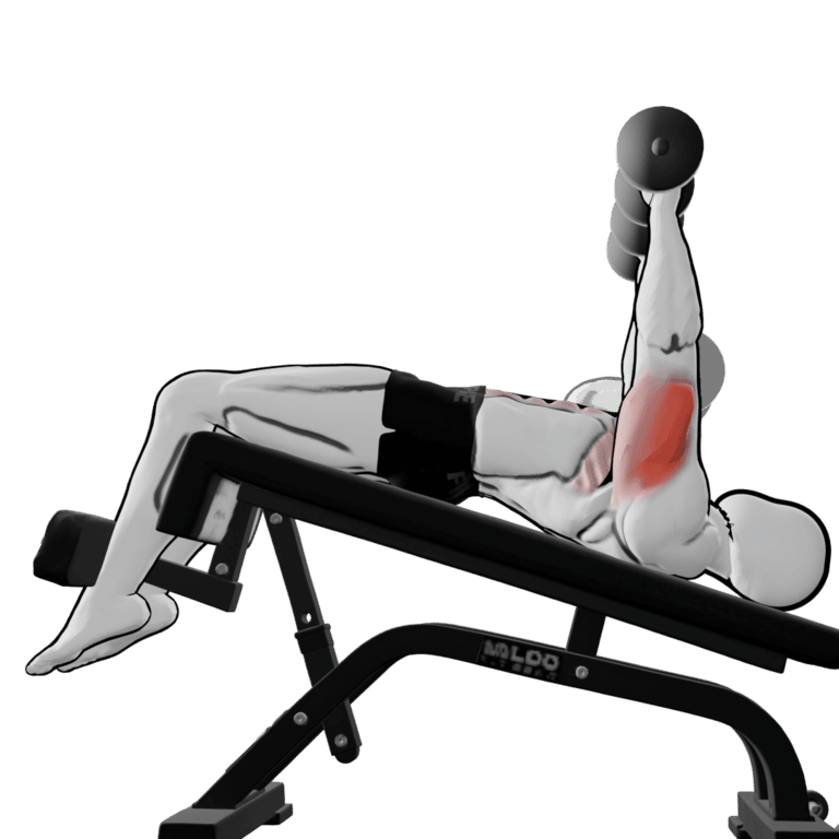 Dumbbell Decline Bench Press