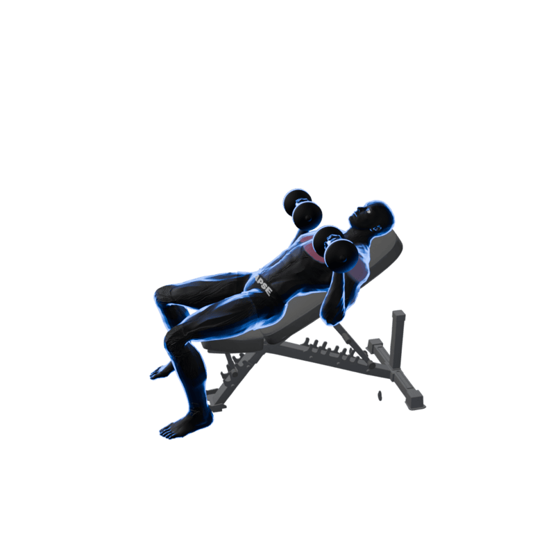 Dumbbell Incline Bench Press