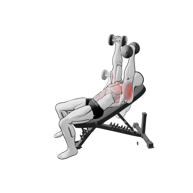 45° Dumbbell Incline Bench Press