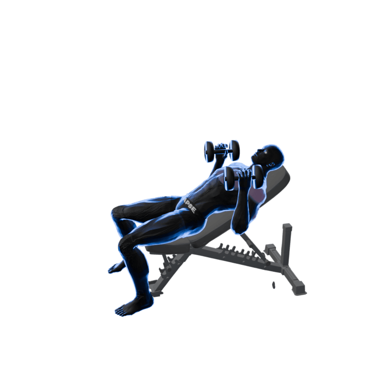 90° Dumbbell Incline Bench Press