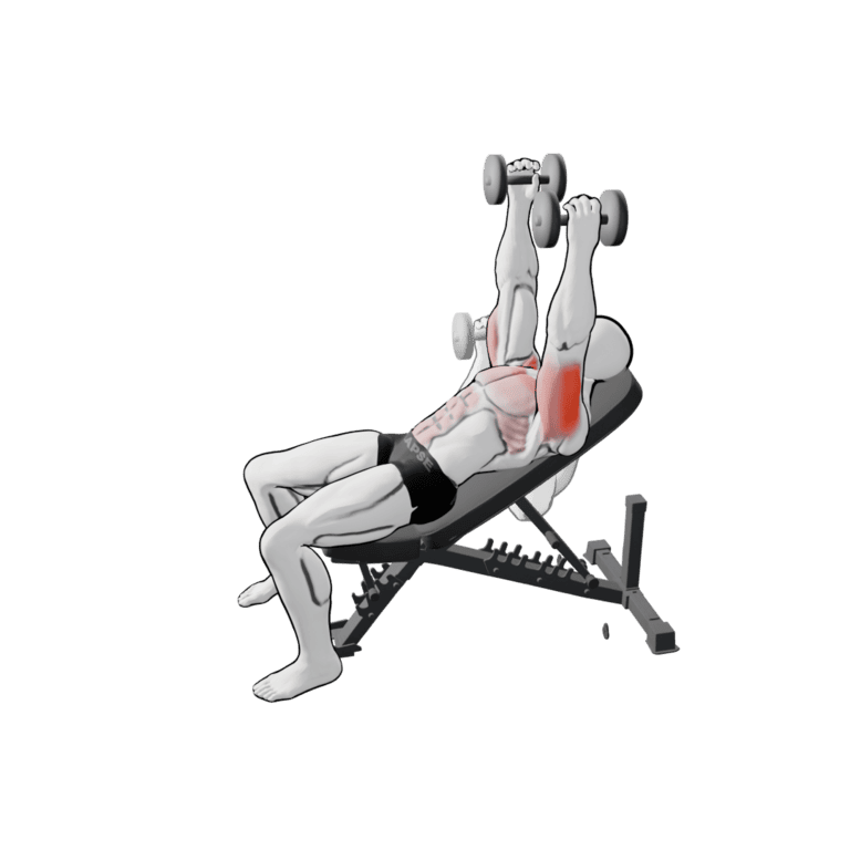 90° Dumbbell Incline Bench Press
