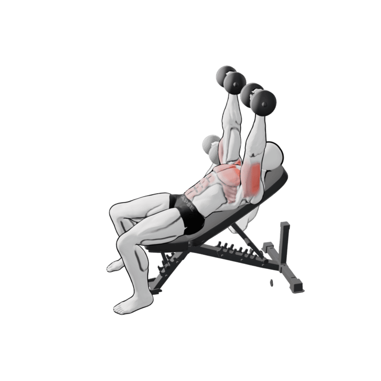 Dumbbell Incline Bench Press