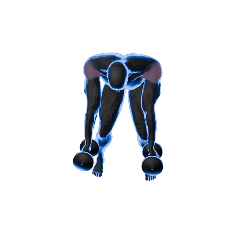 Dumbbell Reverse Fly