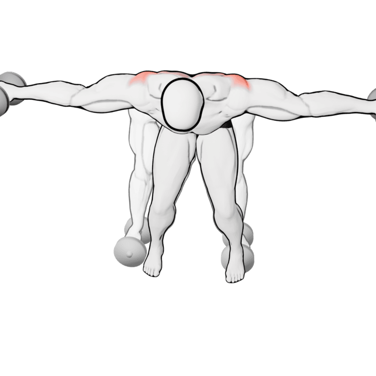 Dumbbell Reverse Fly