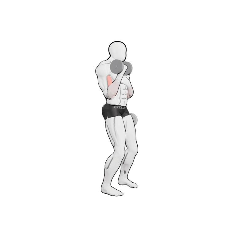 One-Arm Dumbbell Curl