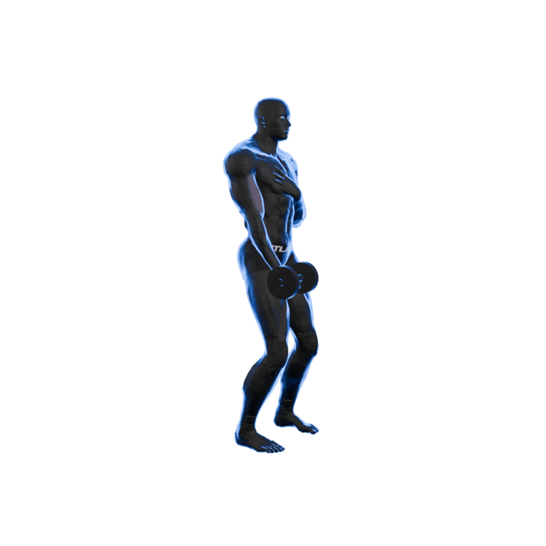 One-Arm Dumbbell Curl