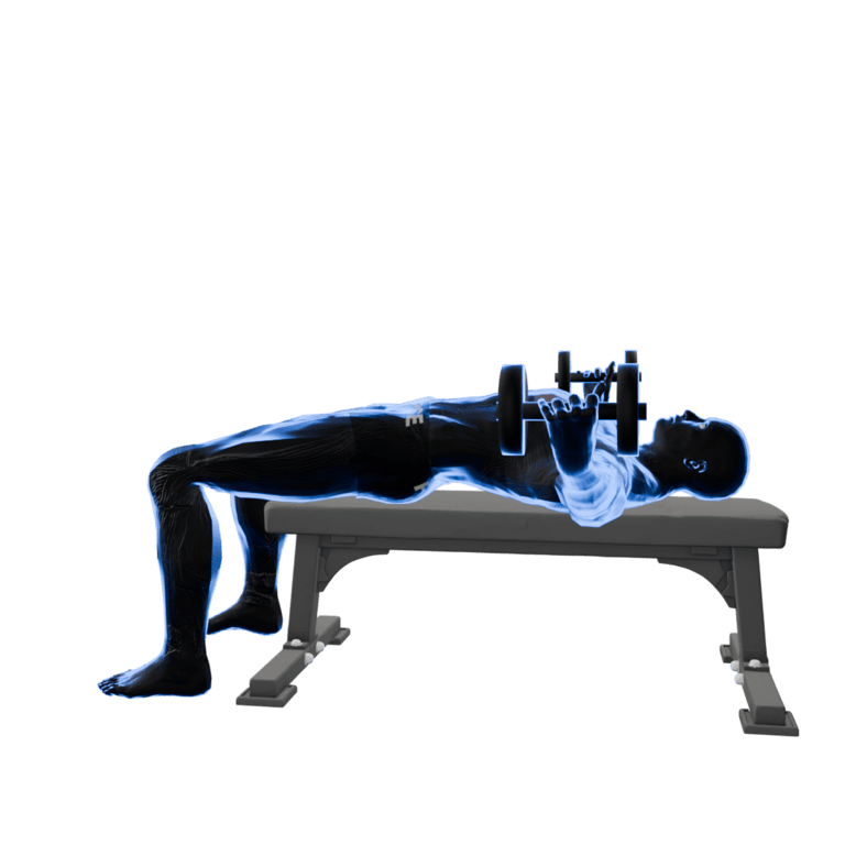 Dumbbell Chest Fly
