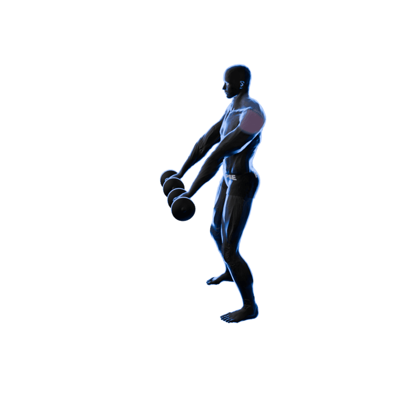Dumbbell Front Raise