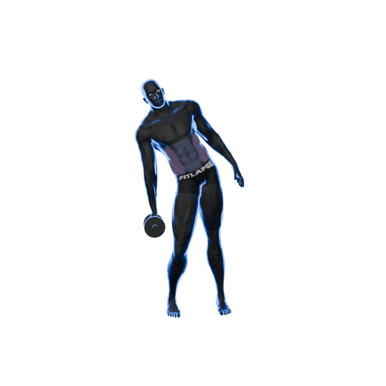 Dumbbell Side Bend