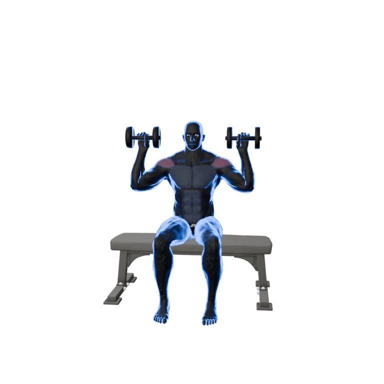 Seated Dumbbell Shoulder Press