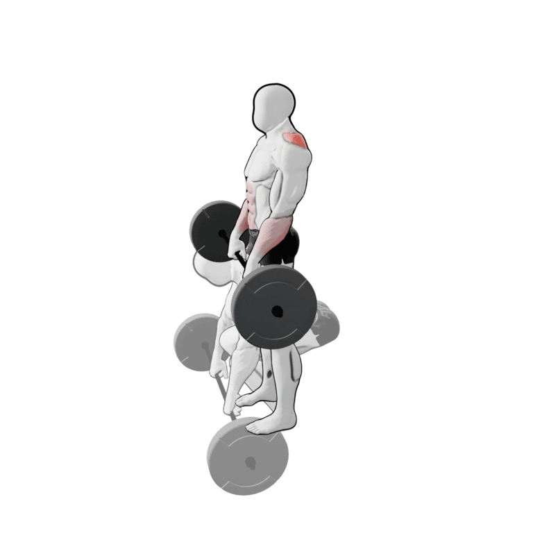 Barbell Deadlift