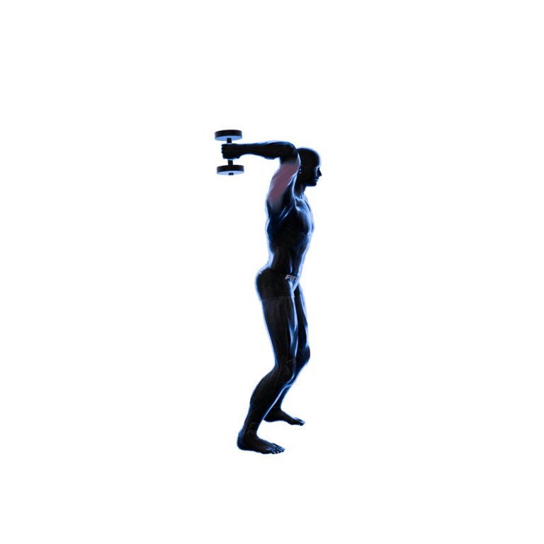 One-Arm Standing Dumbbell Triceps Extension