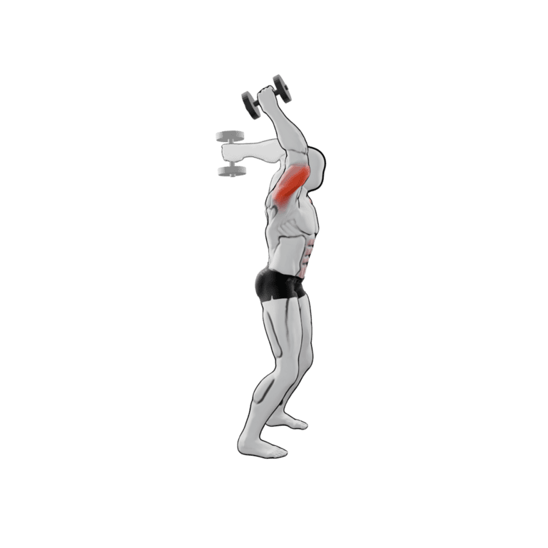 One-Arm Standing Dumbbell Triceps Extension