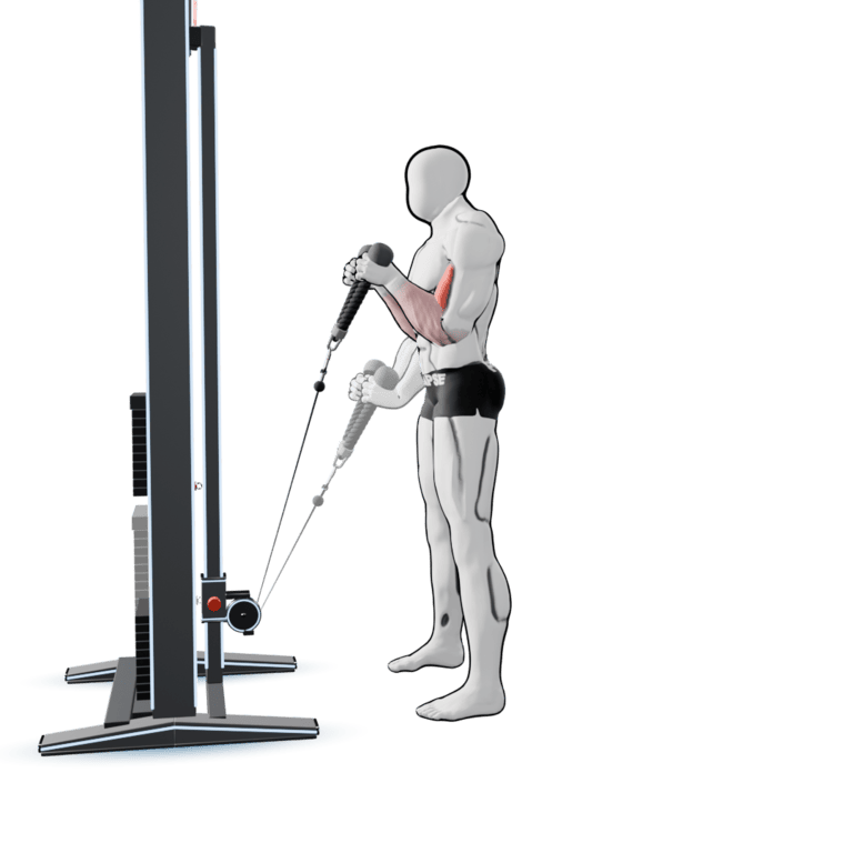 Cable Rope Curl