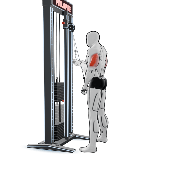 Cable Triceps Pushdown