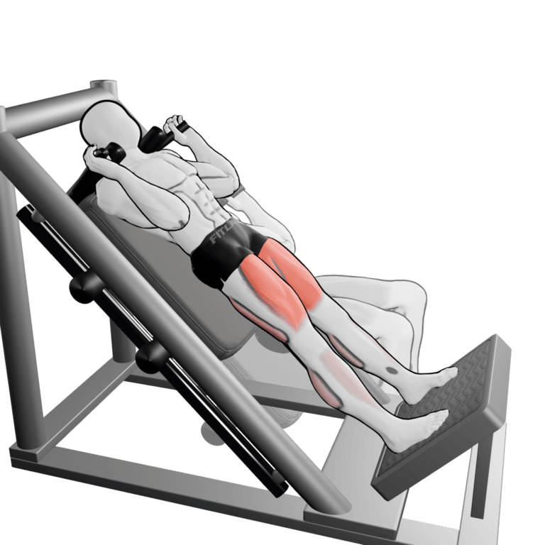 Hack Squat
