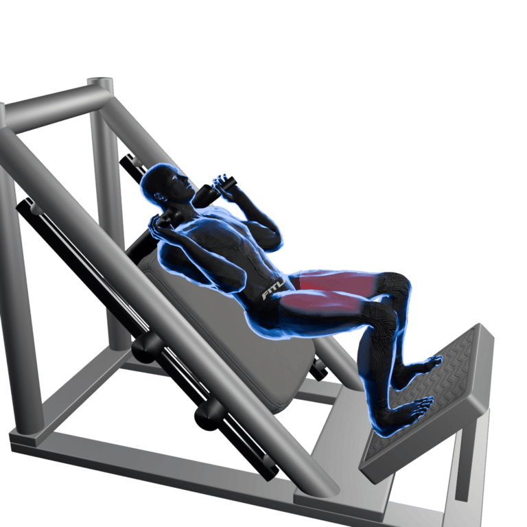 Hack Squat