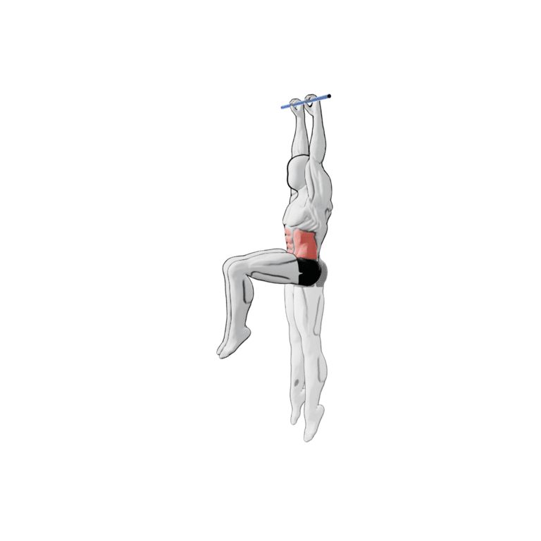 Hanging Knee Raise