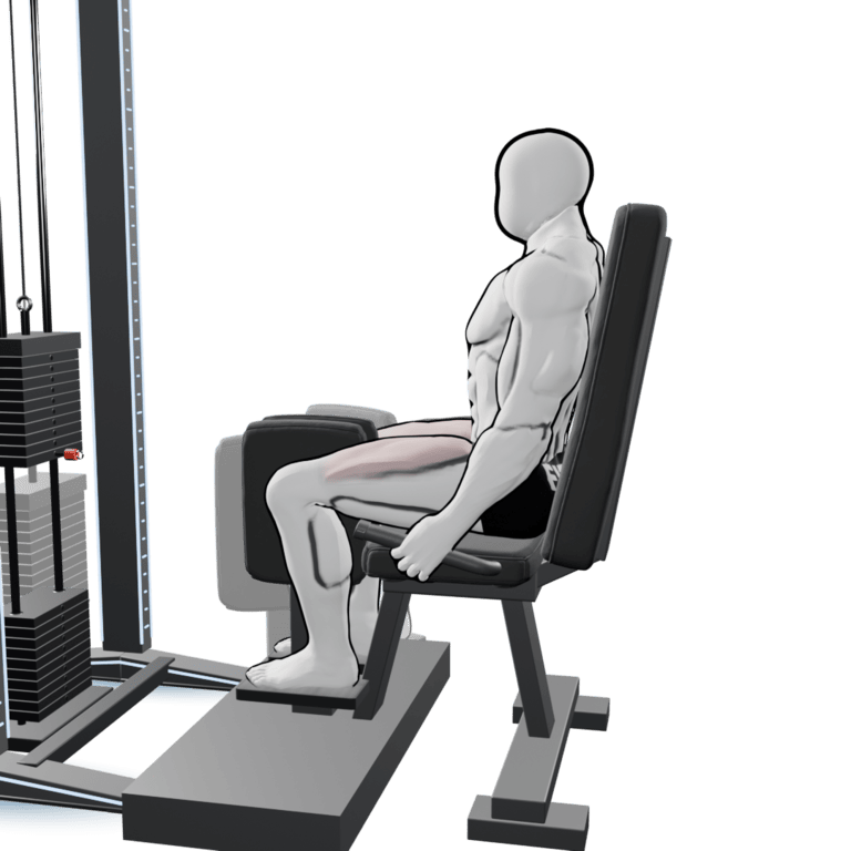 Hip Adduction