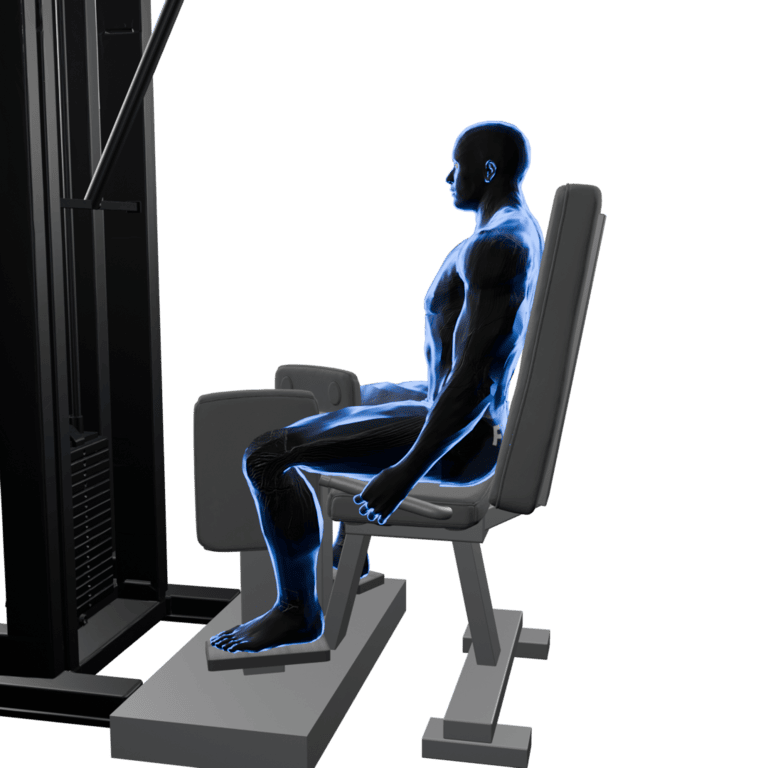 Hip Adduction
