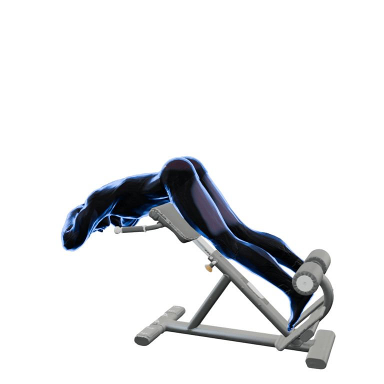 Back Extension
