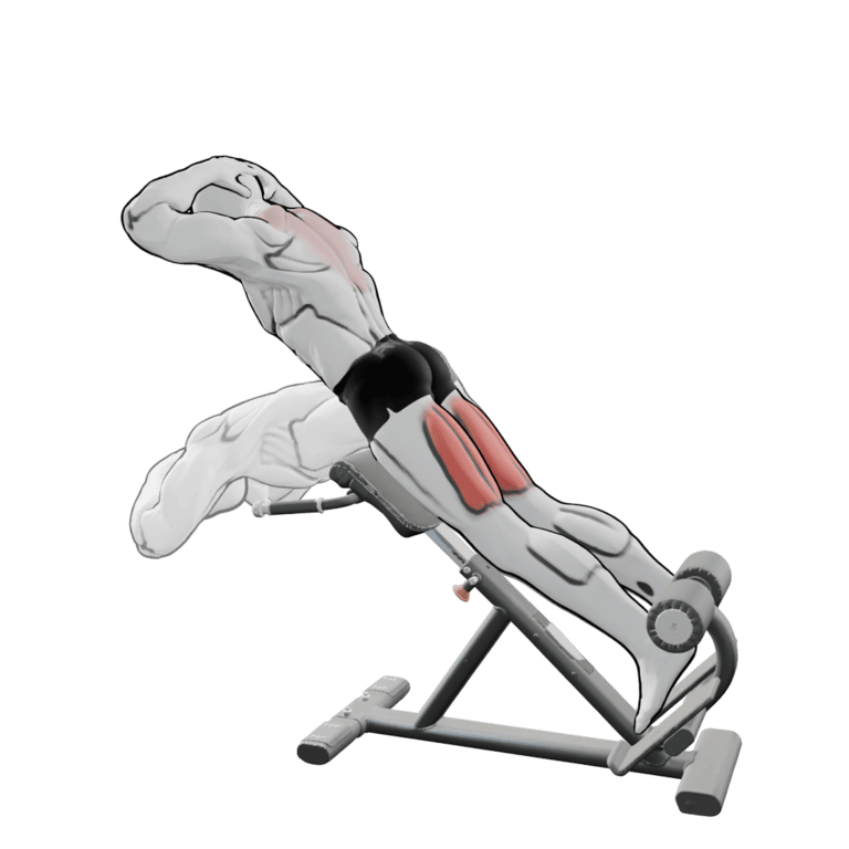 Back Extension