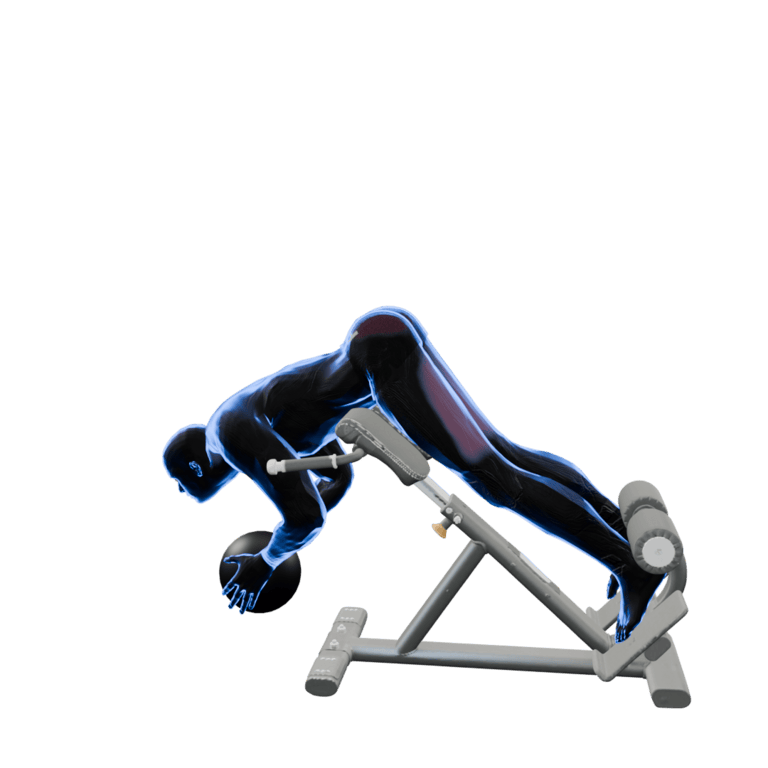 Weighted Back Extension