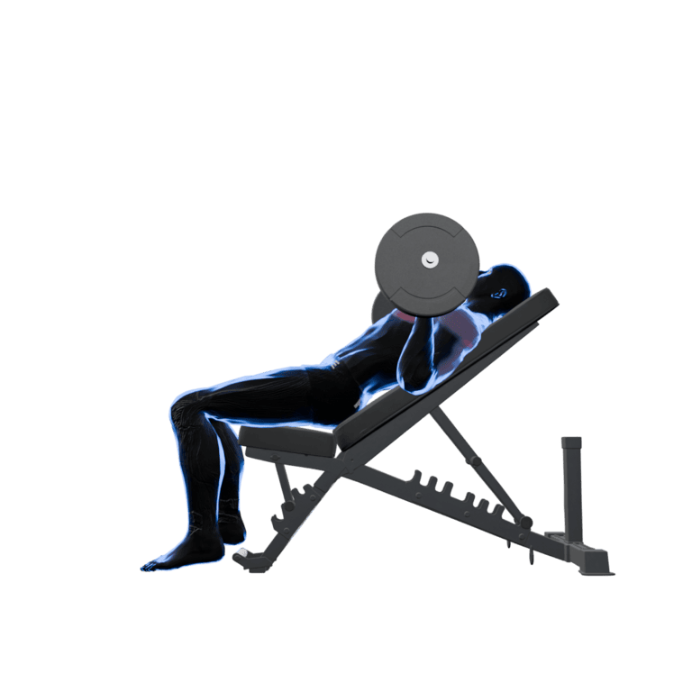 Barbell Incline Bench Press