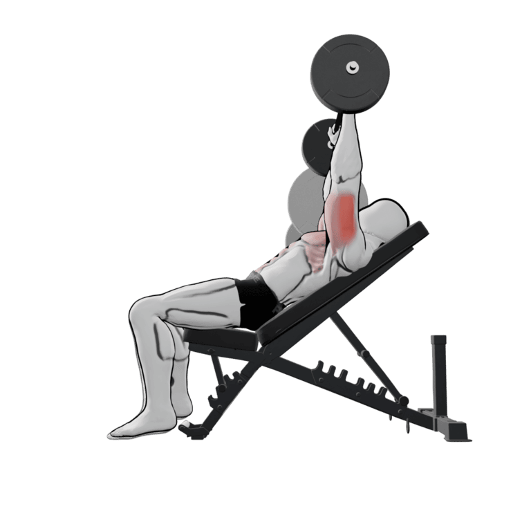 Barbell Incline Bench Press