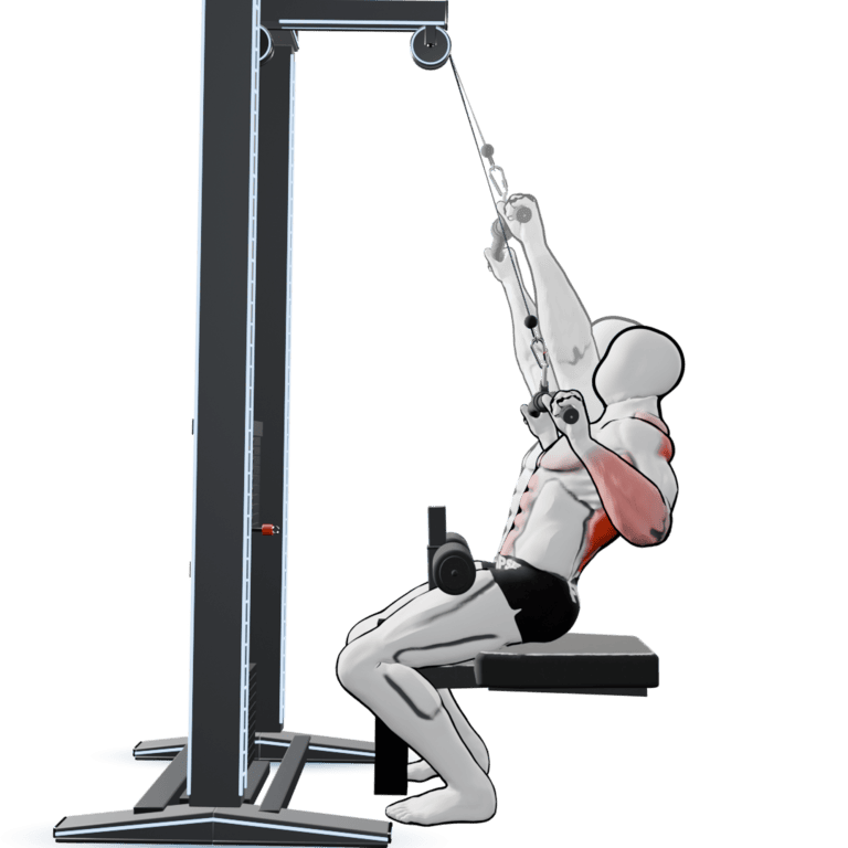 Overhand Lat Pulldown