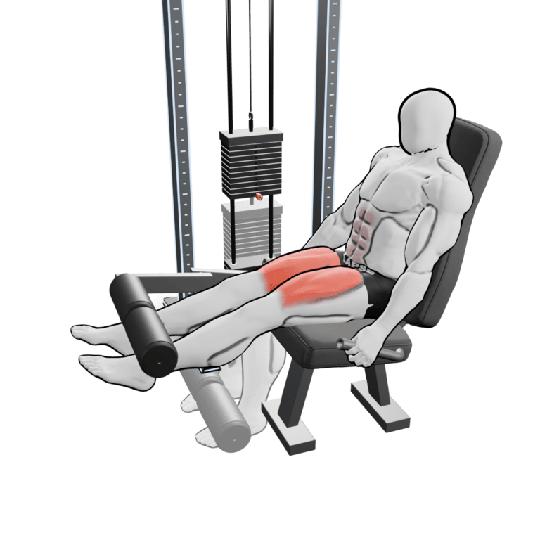 Leg Extension