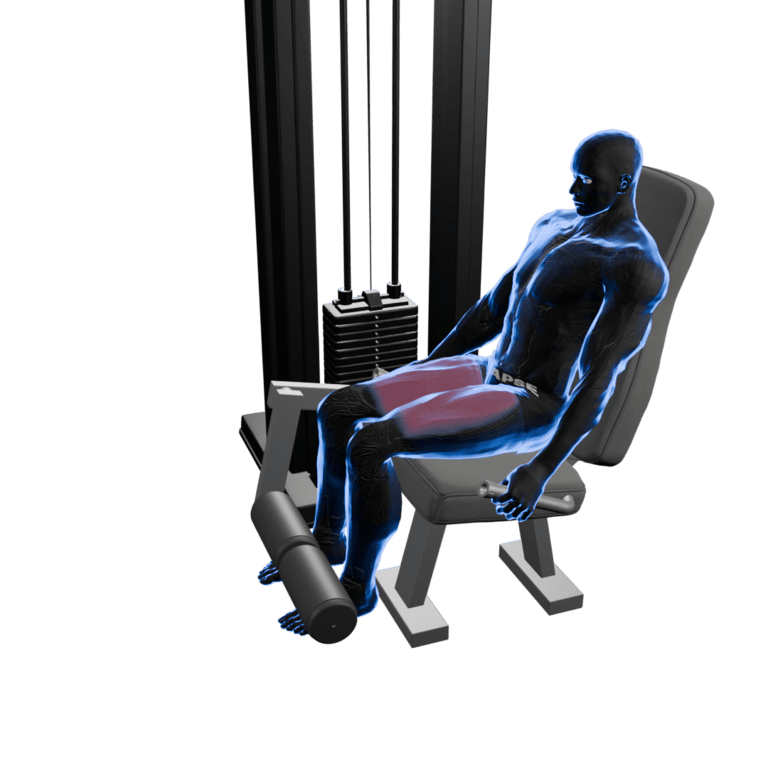 Leg Extension