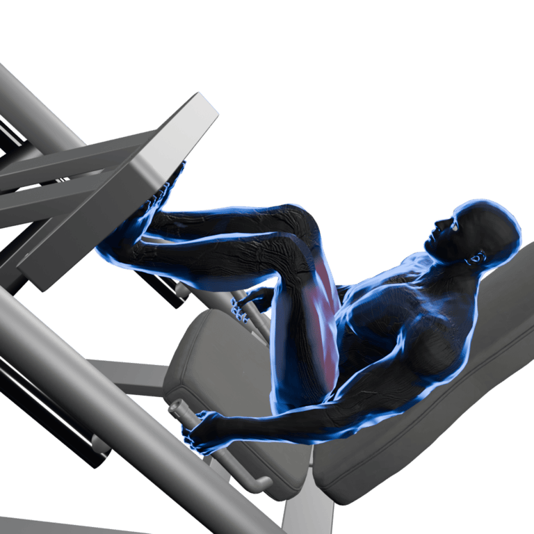 45° Leg Press
