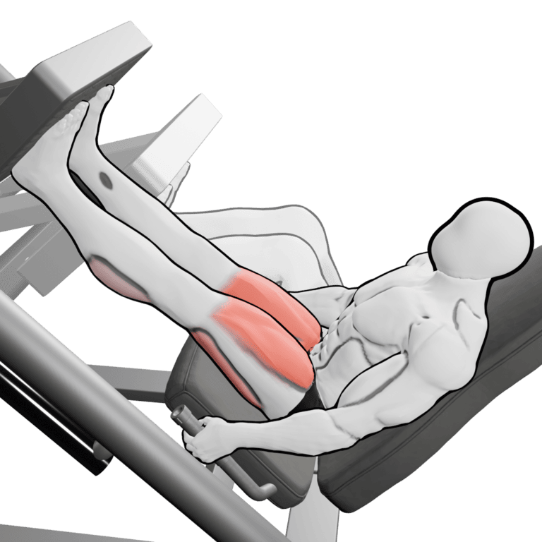 45° Leg Press
