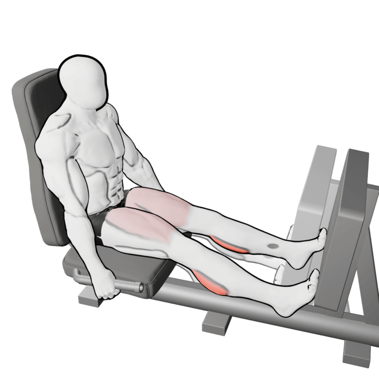 Leg Press - Calves