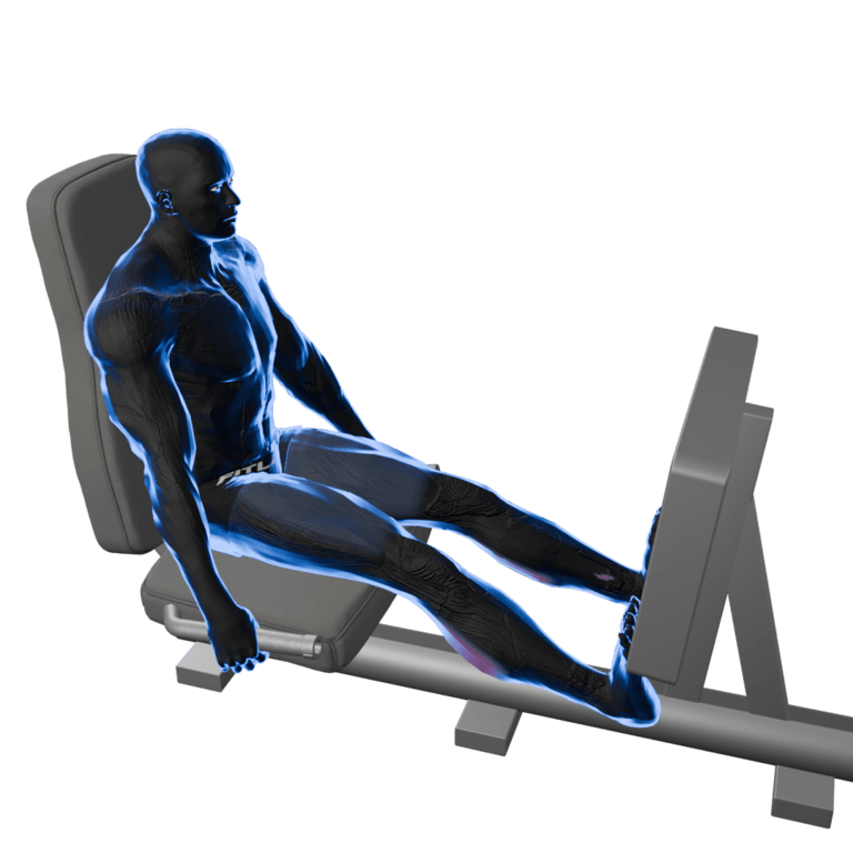Leg Press - Calves