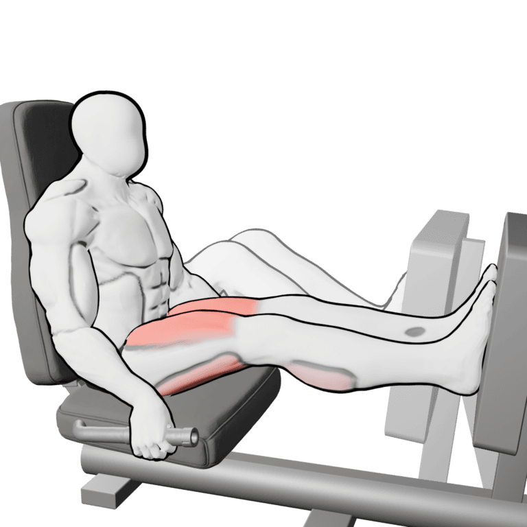 Leg Press