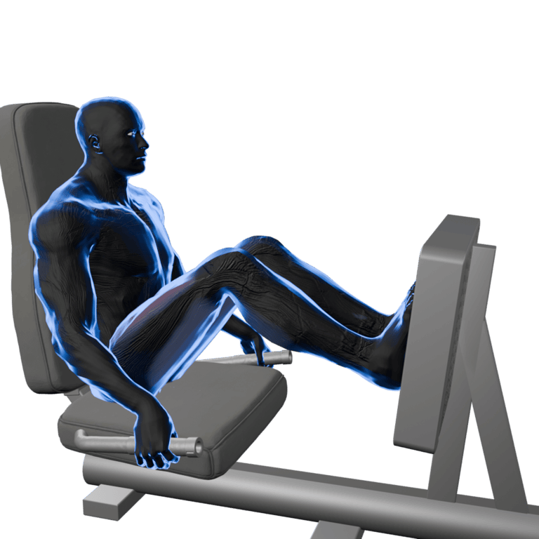 Leg Press