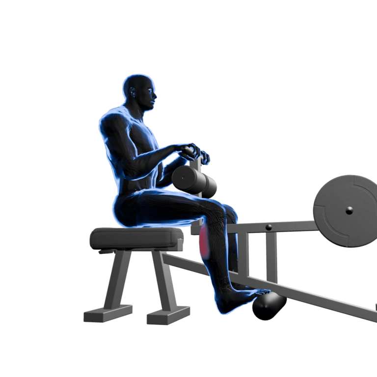 Seated Calf Raise
