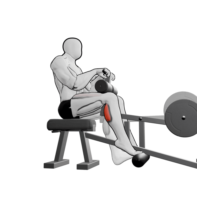 Seated Calf Raise