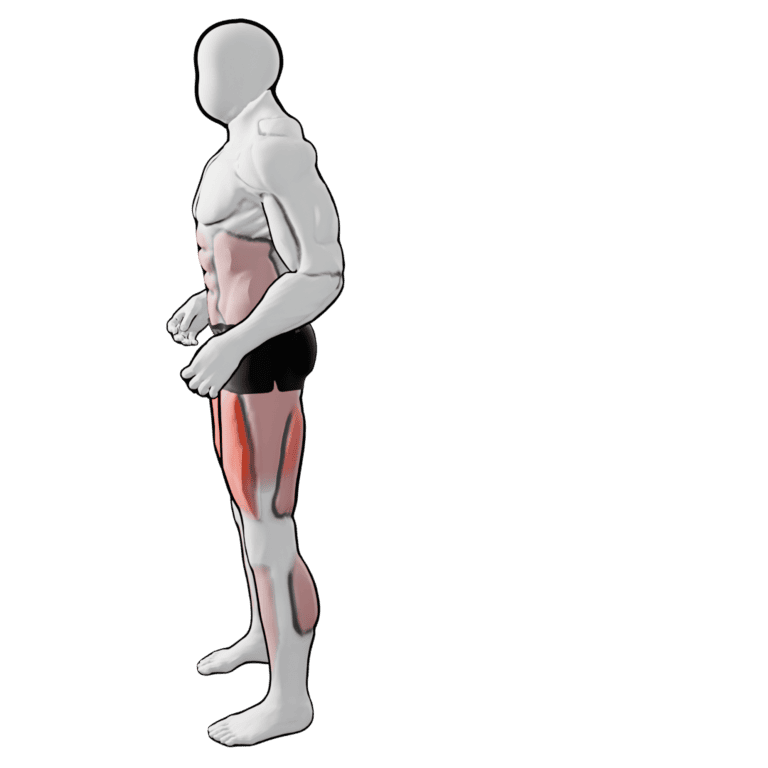 Reverse Lunge — finishing position, working the quadriceps and glutes
