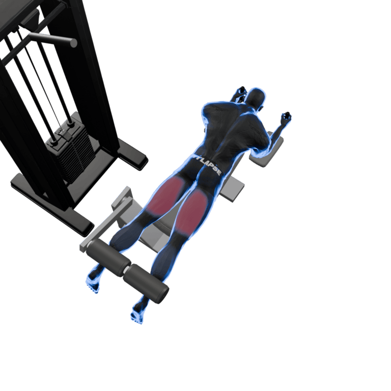 Prone Leg Curl