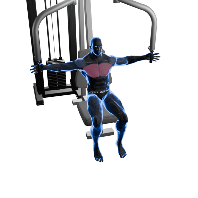 Pec Fly