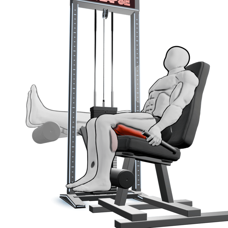 Seated Leg Curl