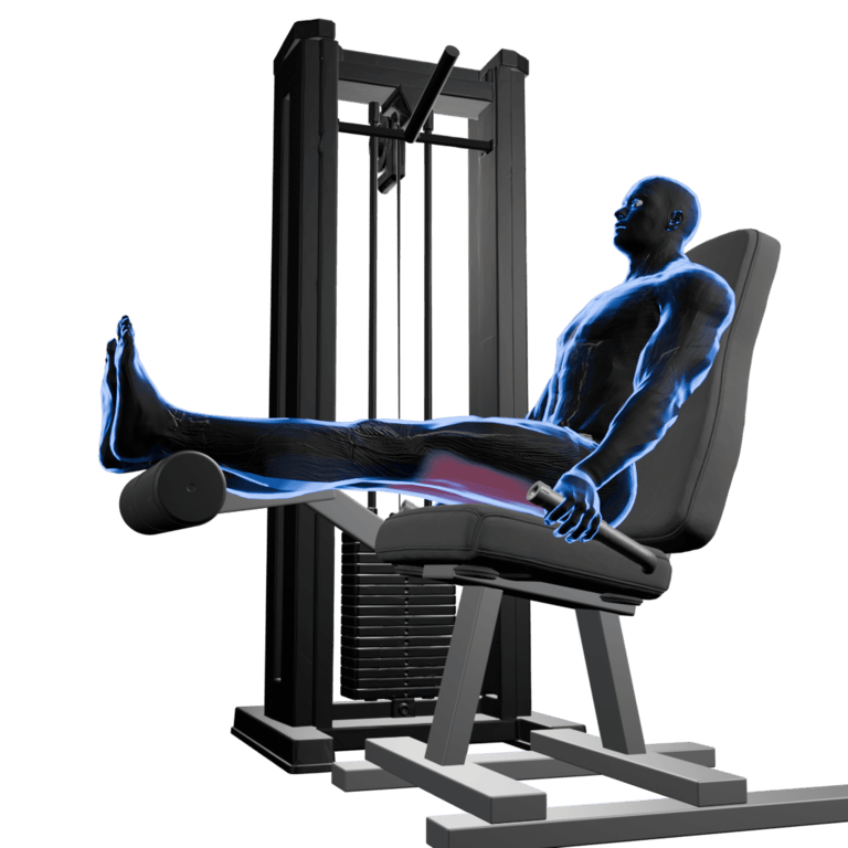 Seated Leg Curl