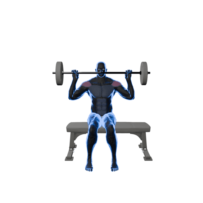 Seated Barbell Shoulder Press