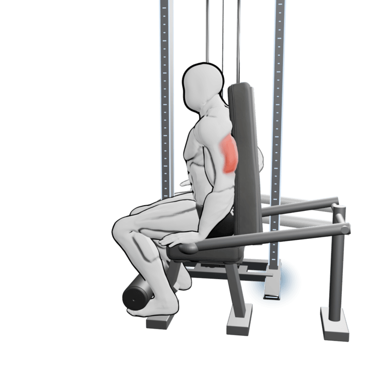 Seated Triceps Press