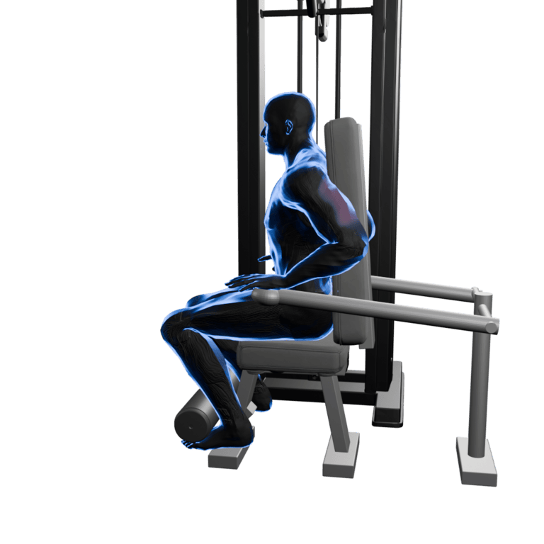 Seated Triceps Press