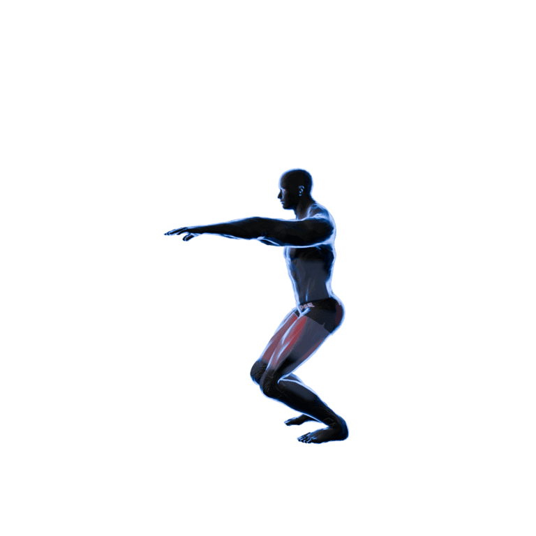 Bodyweight Squat