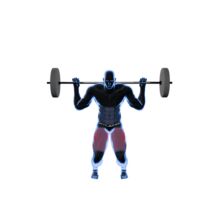 Barbell Back Squat